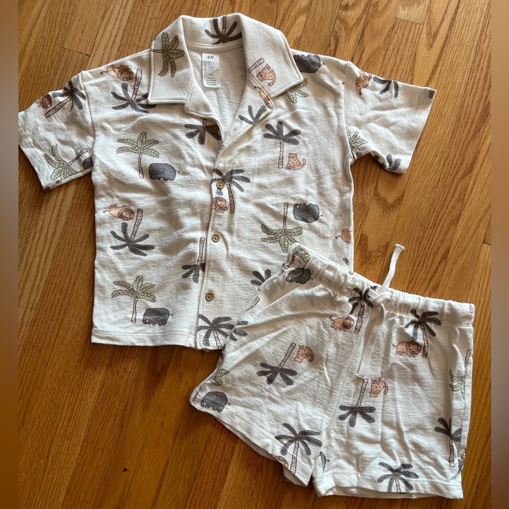 H&M Kids Animal Print Set
